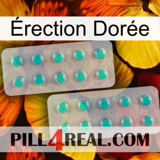 Érection Dorée 29